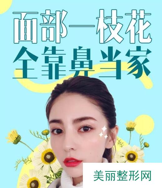 怎样的鼻子才算是好看？