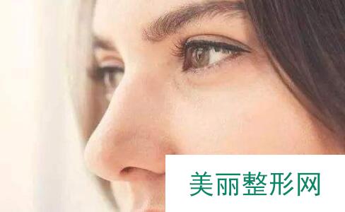鼻梁