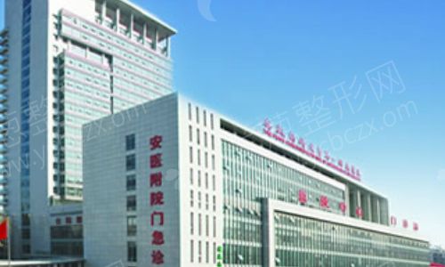 大图.jpg