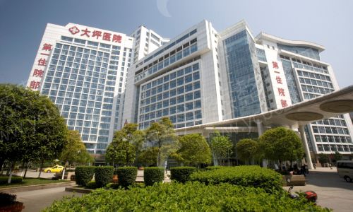 大图.jpg